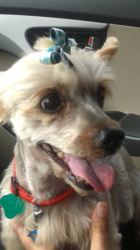 Pet Supply Store «Petco Animal Supplies», reviews and photos, 12014 SW 88th St, Miami, FL 33186, USA