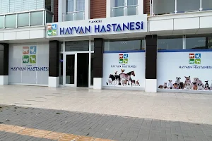 Çankırı Hayvan Hastanesi image