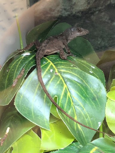 Pet Supply Store «Petco Animal Supplies», reviews and photos, 190 Quality Dr, Hooksett, NH 03106, USA