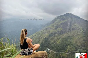 Vio Holidays Sri Lanka Travel and Tours image