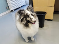 Paw Prints Grooming - Photo 5 - Car repair in Racine, WI, Racine