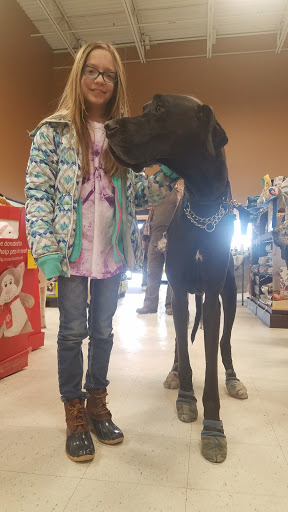 Pet Supply Store «PetSmart», reviews and photos, 355 Howe Ave, Cuyahoga Falls, OH 44221, USA