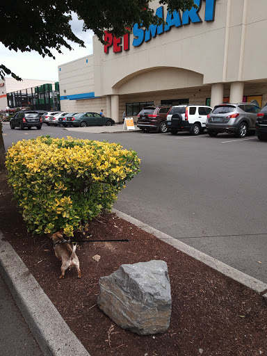 Pet Supply Store «PetSmart», reviews and photos, 9450 SE 82nd Ave, Portland, OR 97086, USA