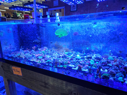 Aquarium Dayton