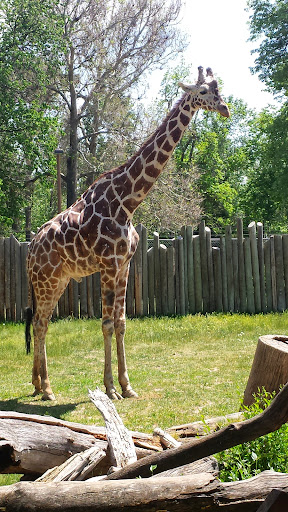 Zoo «Zoo Boise», reviews and photos, 355 Julia Davis Dr, Boise, ID 83702, USA