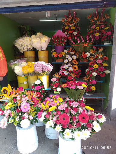 Floreria Juquilita – Buenavista
