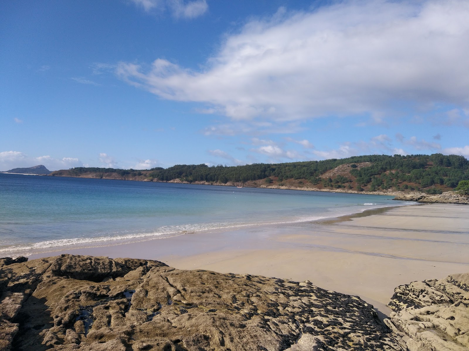 Photo de Playa de Vino avec un niveau de propreté de très propre