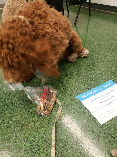 Pet Supply Store «Petco Animal Supplies», reviews and photos, 11639 S Pkwy Plaza Dr, South Jordan, UT 84095, USA