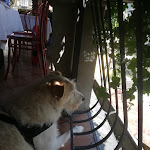 Photo n°2 de l'avis de Marco.o fait le 28/08/2021 à 10:57 sur le  Taverna 800 - Restaurant à Sant'Omobono Terme