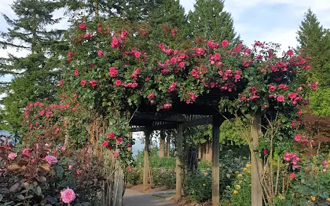 Burnaby Mountain Centennial Rose Garden image