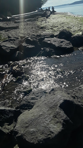 State Park «Dash Point State Park», reviews and photos, 5700 SW Dash Point Rd, Federal Way, WA 98023, USA