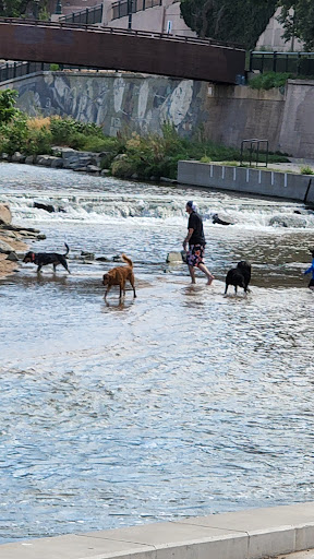 Park «Confluence Park», reviews and photos, 2250 15th St, Denver, CO 80202, USA