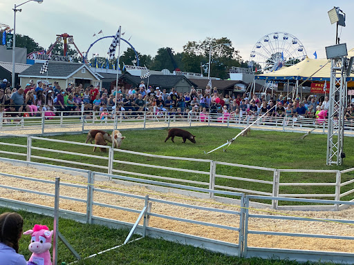 Fairground «Dutchess County Fairgrounds», reviews and photos, 6550 Spring Brook Ave, Rhinebeck, NY 12572, USA