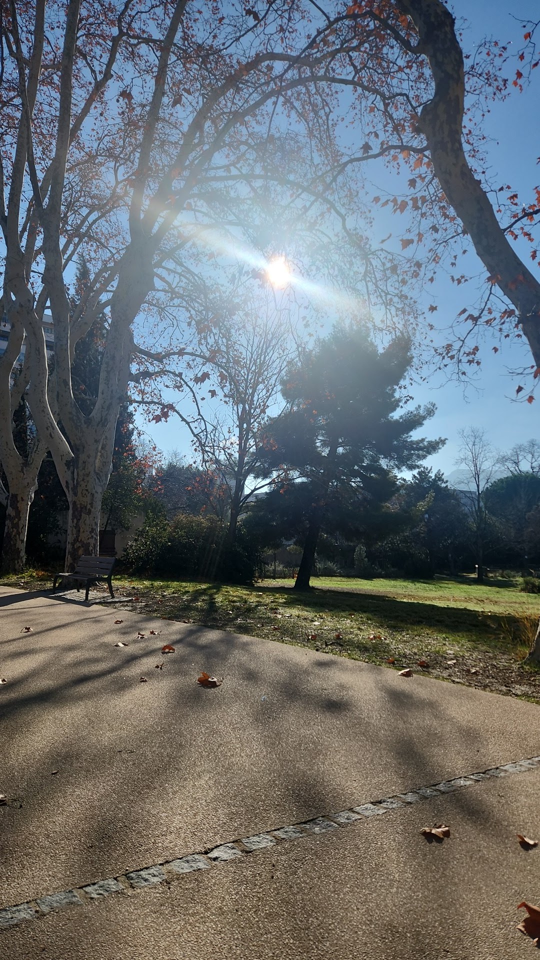 Photo n° 1 de l'avis de John.j fait le 12/01/2024 à 10:47