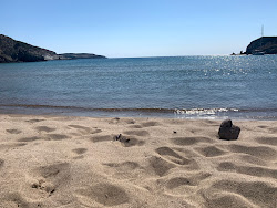 Agathia beach'in fotoğrafı biraz temiz temizlik seviyesi ile