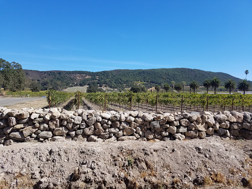 Sonoma Valley Bike Tours & Rentals image