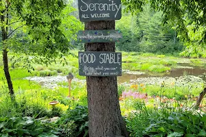 Serenity Garden image