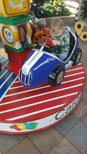 Shopping Mall «Summit Mall», reviews and photos, 3265 W Market St, Fairlawn, OH 44333, USA