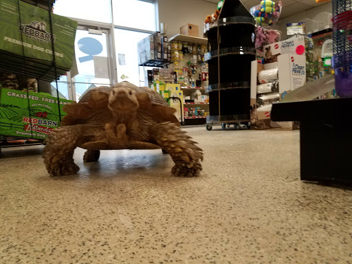 Pet Store «Rockstar Pets», reviews and photos, 215 N Main St, Tooele, UT 84074, USA