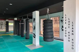 KUDO MMA CLASSES (KARATE CLASS) FITNESS CENTER image