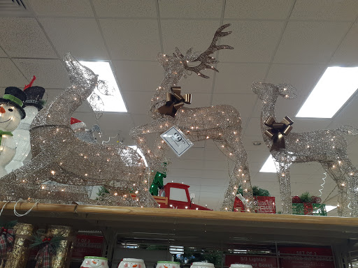 Home Goods Store «Christmas Tree Shops», reviews and photos, 41 Gusabel Ave, Nashua, NH 03063, USA