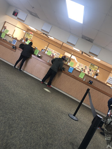 Drivers License Office «Robeson County License Plate Agency», reviews and photos