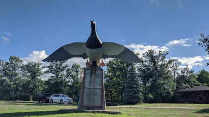The Mallard Duck Park