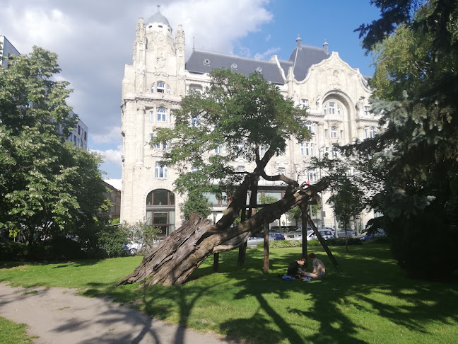 Értékelések erről a helyről: Budapest legöregebb akacfája, Budapest - Múzeum