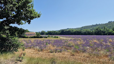 Allemagne en Provence à Allemagne-en-Provence