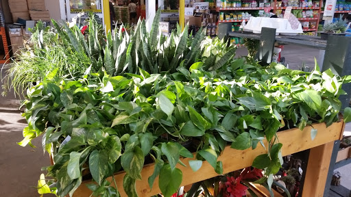 Home Improvement Store «The Home Depot», reviews and photos, 6850 S Fry Rd, Katy, TX 77494, USA