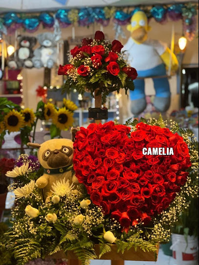 Camelia 'flower shop and details'
