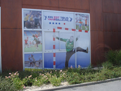 Ligue Handball des Pays de la Loire à Segré-en-Anjou Bleu