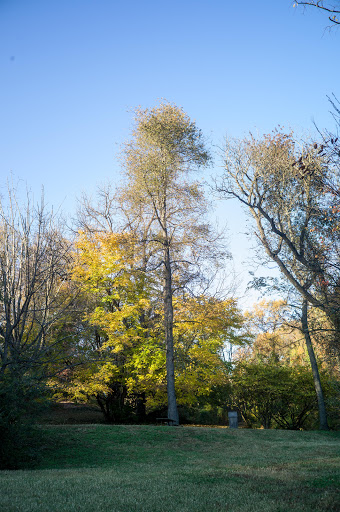 National Park «Battery Kemble Park», reviews and photos, 3035 Chain Bridge Rd NW, Washington, DC 20016, USA