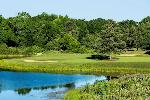 Metamora Golf & Country Club image