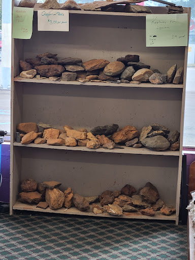 Pet Store «Wet Pets», reviews and photos, 1712 Montgomery Hwy, Dothan, AL 36303, USA