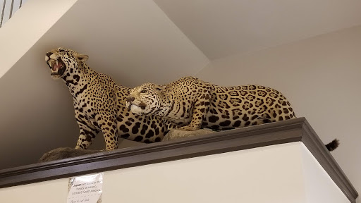 Zoo «Lake Superior Zoo», reviews and photos, 7210 Fremont St, Duluth, MN 55807, USA