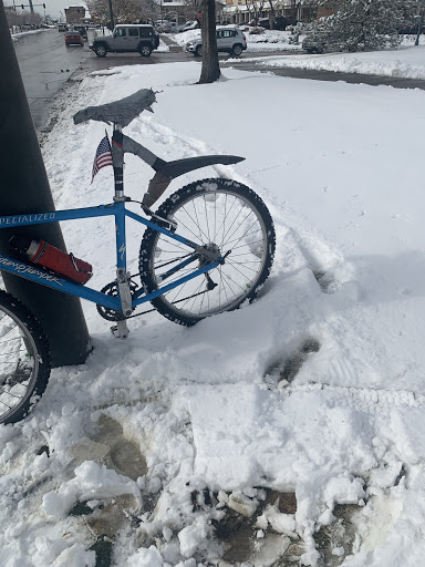 Bicycle Store «Turin Bicycles Ltd», reviews and photos, 700 Lincoln St, Denver, CO 80203, USA