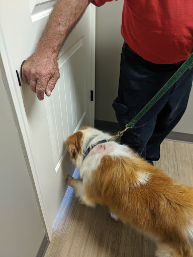 Foothills Veterinary Hospital - South image