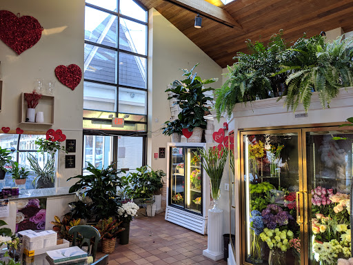 Bruce Flowers, 454 Main Ave, Norwalk, CT 06851, USA, 