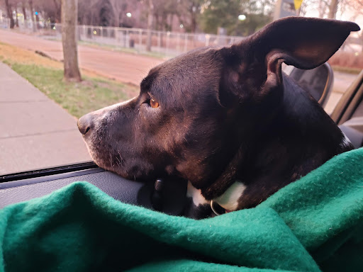 State Park «Bicentennial Capitol Mall State Park», reviews and photos, 600 James Robertson Pkwy, Nashville, TN 37243, USA