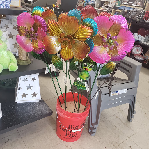 Hardware Store «Walls Ace Hardware», reviews and photos, 2932 Canton Rd #280, Marietta, GA 30066, USA