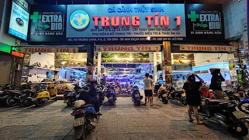 Top 2 cửa hàng cá kiểng Huyện A Lưới Thừa Thiên Huế 2022