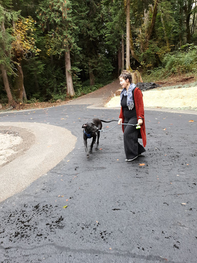 Golf Club «Meadowmeer Golf & Country Club», reviews and photos, 8530 Renny Ln NE, Bainbridge Island, WA 98110, USA