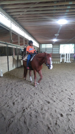 Horse Riding School «Horseng Farm LLC», reviews and photos, 6475 Warden Rd, New Tripoli, PA 18066, USA