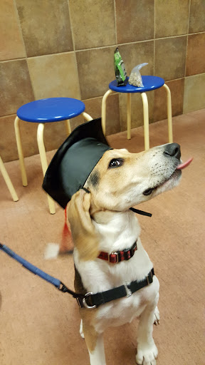 Pet Supply Store «PetSmart», reviews and photos, 5 Main St, East Hartford, CT 06118, USA