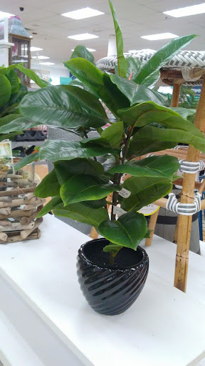 Department Store «Marshalls», reviews and photos, 3146 Tampa Rd, Oldsmar, FL 34677, USA