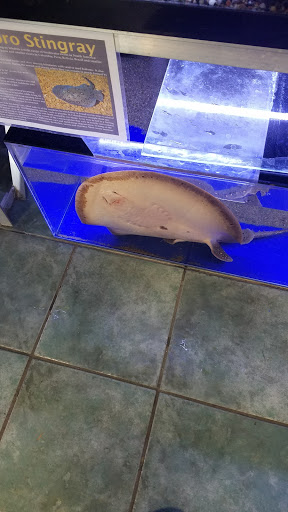 Pet Store «Ark Pet Shop», reviews and photos, 2400 W Lincoln Hwy, Merrillville, IN 46410, USA