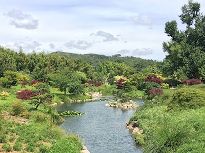 Ma Jardinière Bien-Aimée à Solliès-Pont