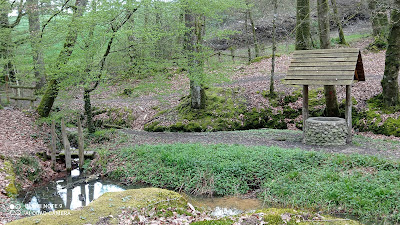 Source de l'Hermitière à Saint-Vincent-du-Lorouër