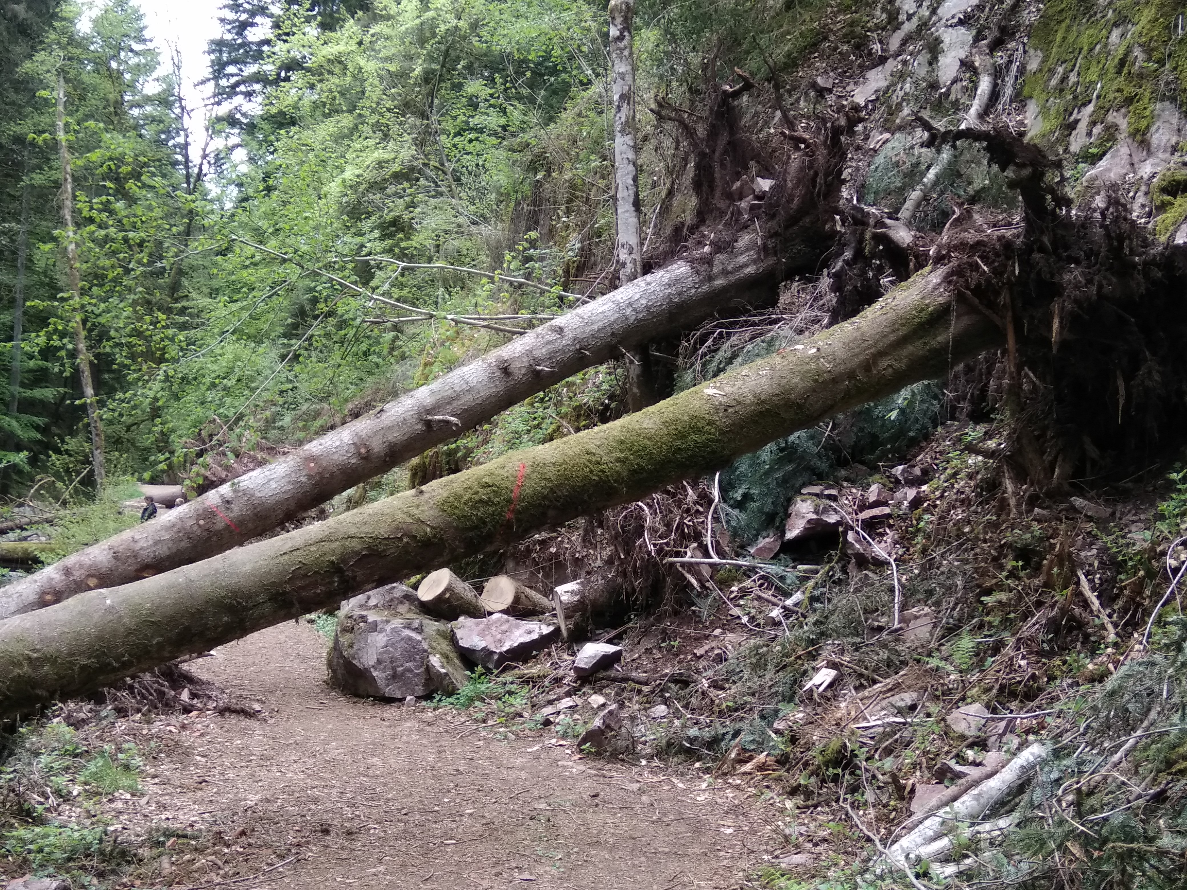 Photo n° 9 de l'avis de Vanessa.. fait le 26/04/2018 à 20:21